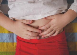 bacterias salud digestiva