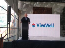 healthtech VivaWell