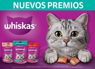 Whiskas Premios, las nuevas empanaditas rellenas para consentir a tu gato Whiskas Premios