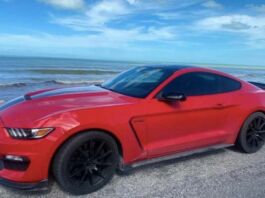 ¿Cuáles fueron las marcas de autos favoritas de los mexicanos en 2022? marcas de autos favoritas 2022