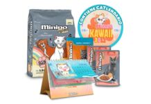 Trivia: Empieza el año dándole el mejor alimento a tu gato con Minino alimento para gato Minino