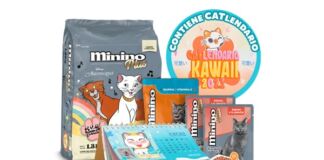 alimento para gato Minino