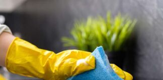 fusión Homely y Hogarú