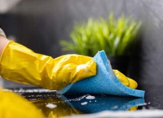 Homely y Hogarú, startups de servicios de aseo profesional, se fusionan fusión Homely y Hogarú