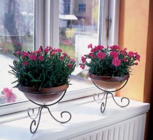 clavel para regalar en San Valentín