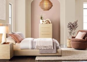 paleta de colores Vínculo