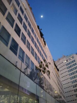 hotel Mondrian Condesa