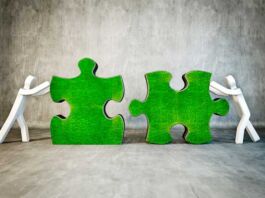 ¿Cómo afianzar la relación entre agencia y cliente? relación entre agencia y cliente