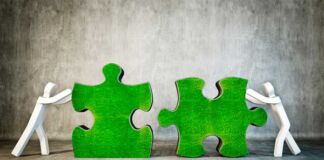 relación entre agencia y cliente