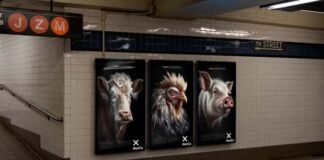 campaña animales viejos NotCo