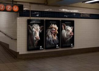 campaña animales viejos NotCo