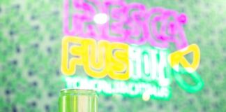 bebida Fresca Fusión