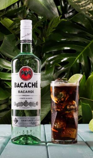 botella Bacaché Bacardi