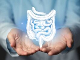 cómo cuidar salud digestiva