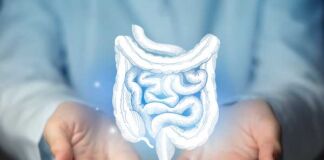 cómo cuidar salud digestiva