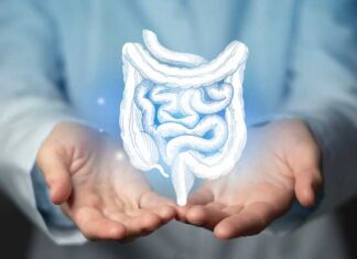 cómo cuidar salud digestiva