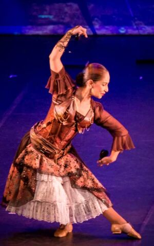 flamenco bienal Ibérica Contemporánea