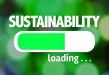 ¿Cómo crear una estrategia efectiva y comprometida con el medio ambiente? cómo desarrollar estrategia sustentable