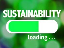 ¿Cómo crear una estrategia efectiva y comprometida con el medio ambiente? cómo desarrollar estrategia sustentable