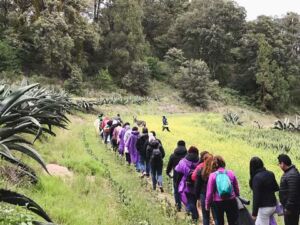 experiencias temporada de luciérnagas Tlaxcala