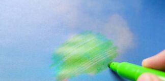 cómo evitar greenwashing