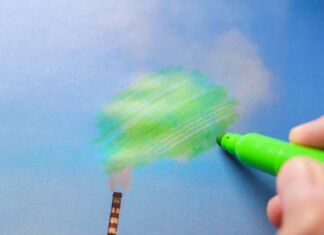 cómo evitar greenwashing