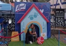 Lysol promueve la higiene y desinfección en hogares con mascotas línea Lysol Pets Solutions para mascotas