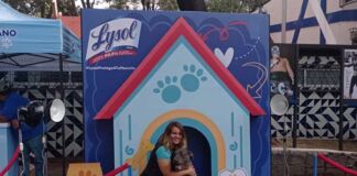 línea Lysol Pets Solutions para mascotas