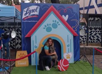 línea Lysol Pets Solutions para mascotas
