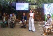 BioBaby lanza campaña “Save the Wild” para proteger a animales en peligro de extinción Save the Wild BioBaby