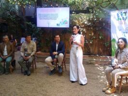 BioBaby lanza campaña “Save the Wild” para proteger a animales en peligro de extinción Save the Wild BioBaby