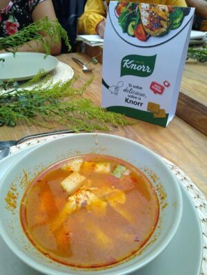 caldo tlalpeño con cubos de pollo Knorr
