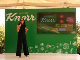 fórmula mejorada cubos de pollo Knorr