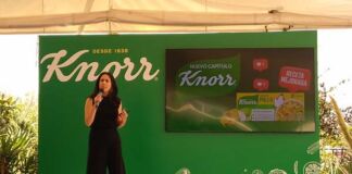 fórmula mejorada cubos de pollo Knorr