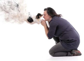 Dar una despedida digna a nuestra mascota, parte de la tenencia responsable dar despedida digna a mascota