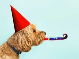 Cloralex Mascotas celebra Día del Perro