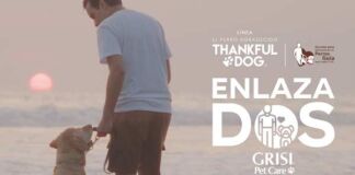 campaña Enlazados Grisi