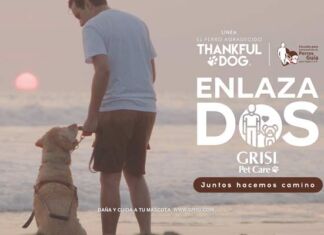 campaña Enlazados Grisi