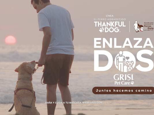 “EnlazaDos”, la campaña de Grisi Pet Care que apoya a perros guía para ciegos campaña Enlazados Grisi