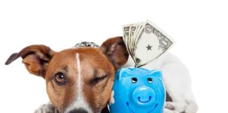 Gastos para tener un perrhijo