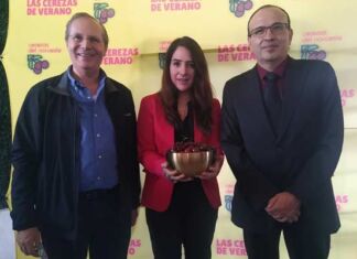 Clima favorece a la temporada de cerezas de verano 2023 temporada de cerezas de verano