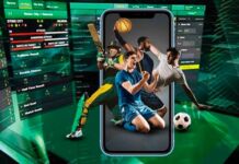 experiencia apuestas en línea