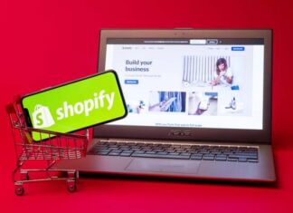 Contratar experto SEO en Shopify