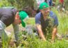 Aires de Campo se une a la jornada de reforestación en la Barranca de Tarango Aires de Campo reforesta Barranca de Tarango