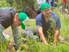 Aires de Campo reforesta Barranca de Tarango