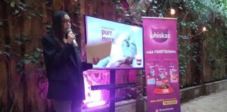 nueva receta Whiskas para gatos