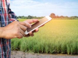 Cómo mejorar las redes de telefonía en áreas rurales mejorar telefonía en áreas rurales