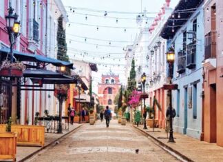 tendencias en turismo para proveedores de tours