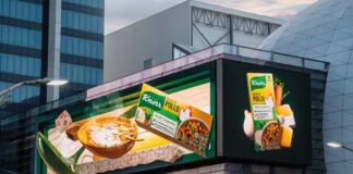 espectacular 3D Cubitos Knorr