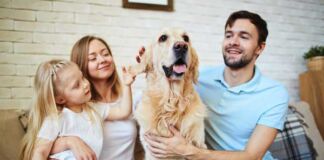 consejos tenencia responsable